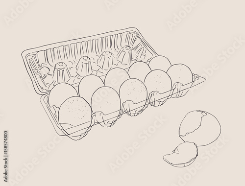 Vector illustration egg box with fresh chicken eggs. Egg plastic container.