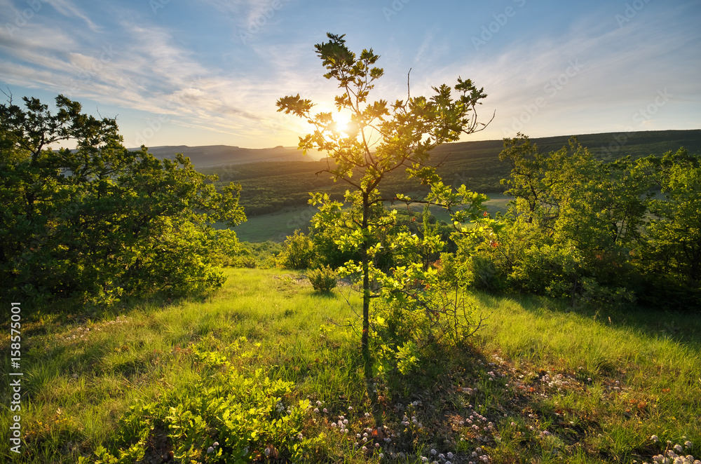 Fototapeta premium Mountain sunrise landscape.