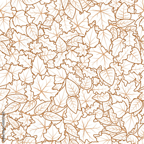 Hand drawn leaves from different kind of trees, seamless pattern on white