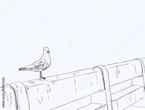 Seagull standing on a concrete bridge .