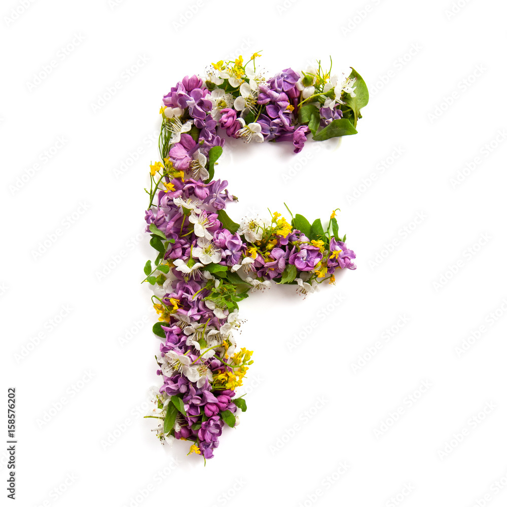 The letter «F» made of various natural small flowers.. The letter «F» made of various natural small flowers..