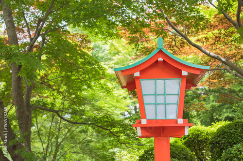 神社の灯篭と新緑のもみじ © imacoconut
