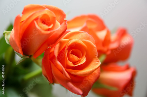Orange Bouquet. Roses