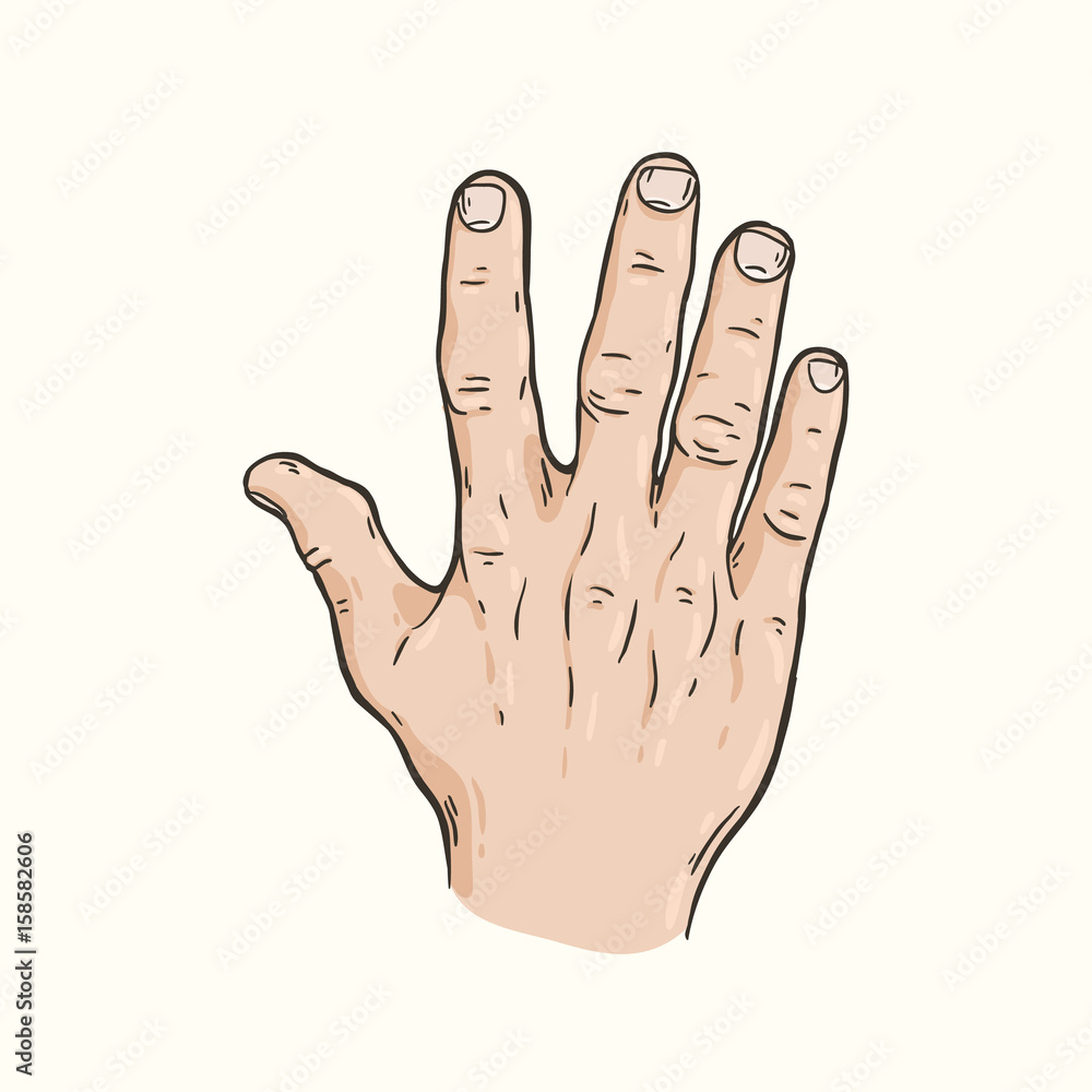 Obraz premium Hand gesture Five fingers