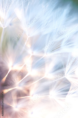 Fototapeta Naklejka Na Ścianę i Meble -  Passaggio di Luce