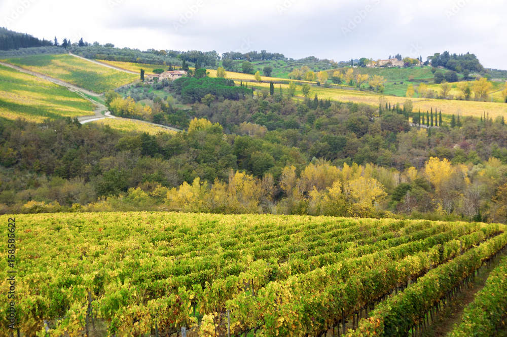 Beautiful Tuscany landscape of vineyard and hills in autumn, Chianti, Italy
