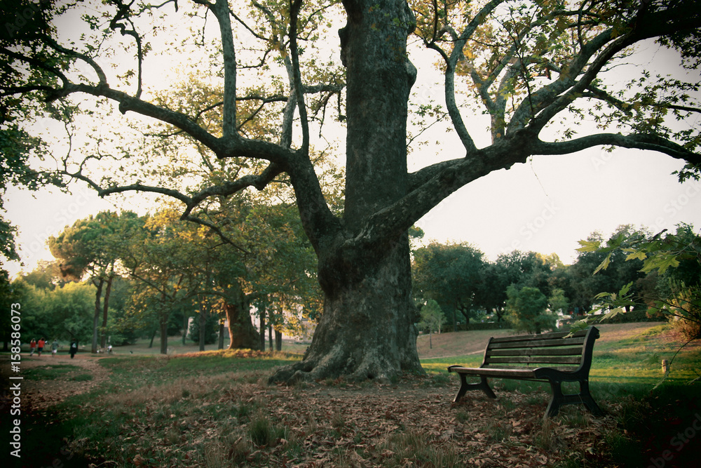 villa borghese villa borghese