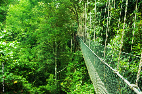 Canopy bridge Malaysia