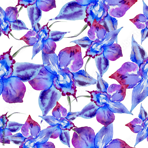 Fototapeta Naklejka Na Ścianę i Meble -  Wildflower violet flower pattern in a watercolor style isolated.