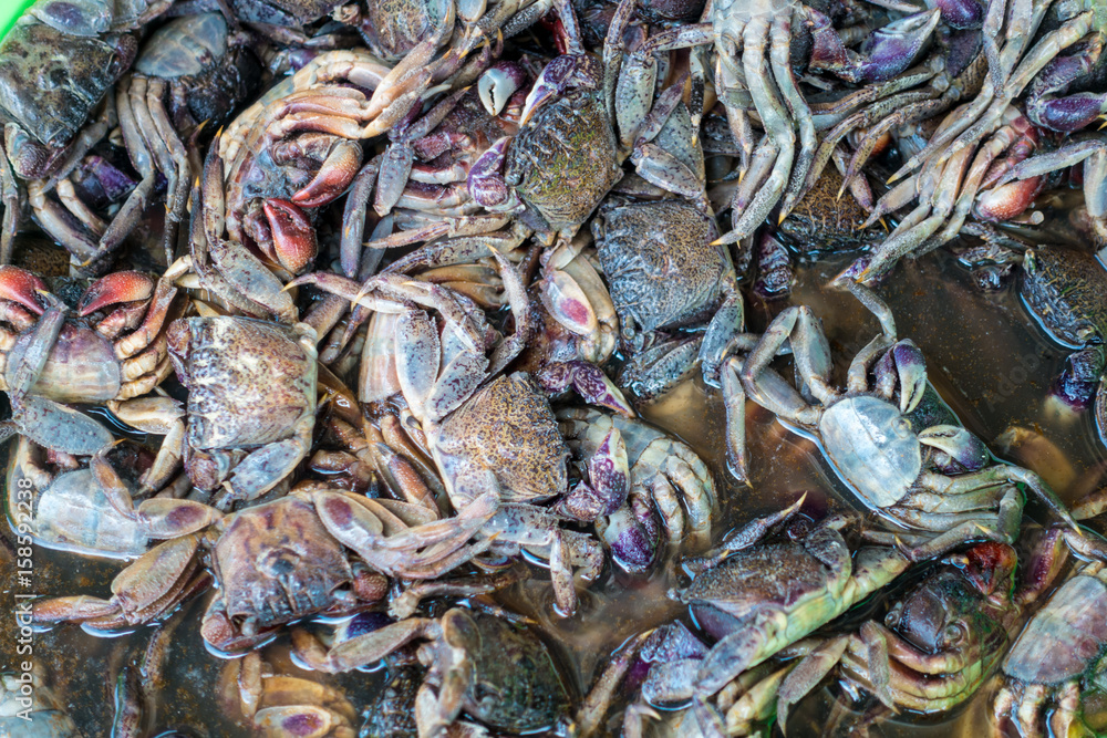 Fermented mangrove crab in the market