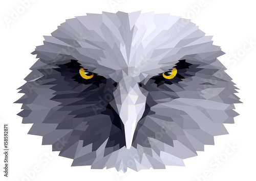 Eagle's head, a menacing look, triangulation