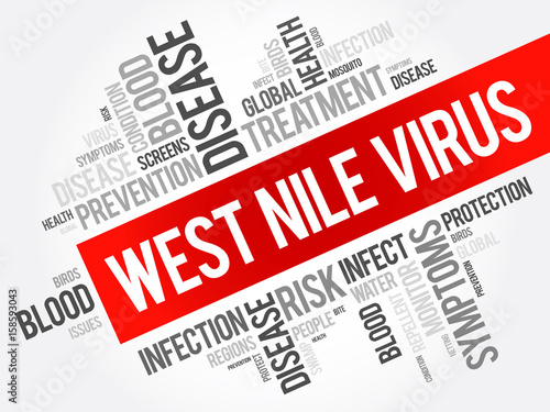 West Nile Virus word cloud collage, health concept background