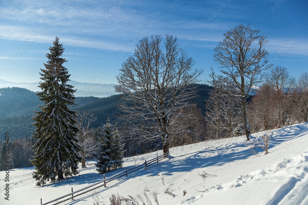 Winter landscape in mountains skiing resort of Bukovel