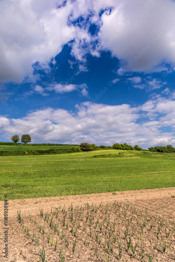 Beautiful spring landscape and cloudy sky. Beautiful spring landscape and cloudy sky.