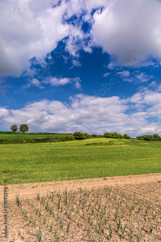 Beautiful spring landscape and cloudy sky.