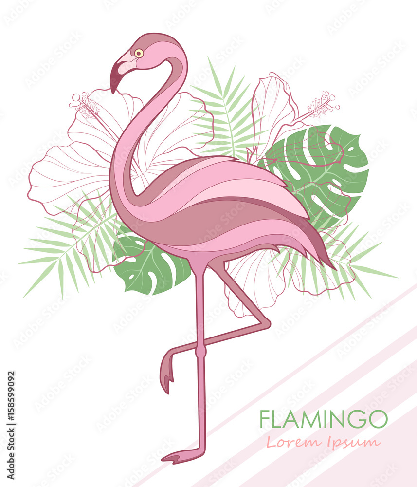 Fototapeta Sylwetka flamingów. Ilustracji wektorowych. Wektor. Flamingi i rośliny tropikalne.