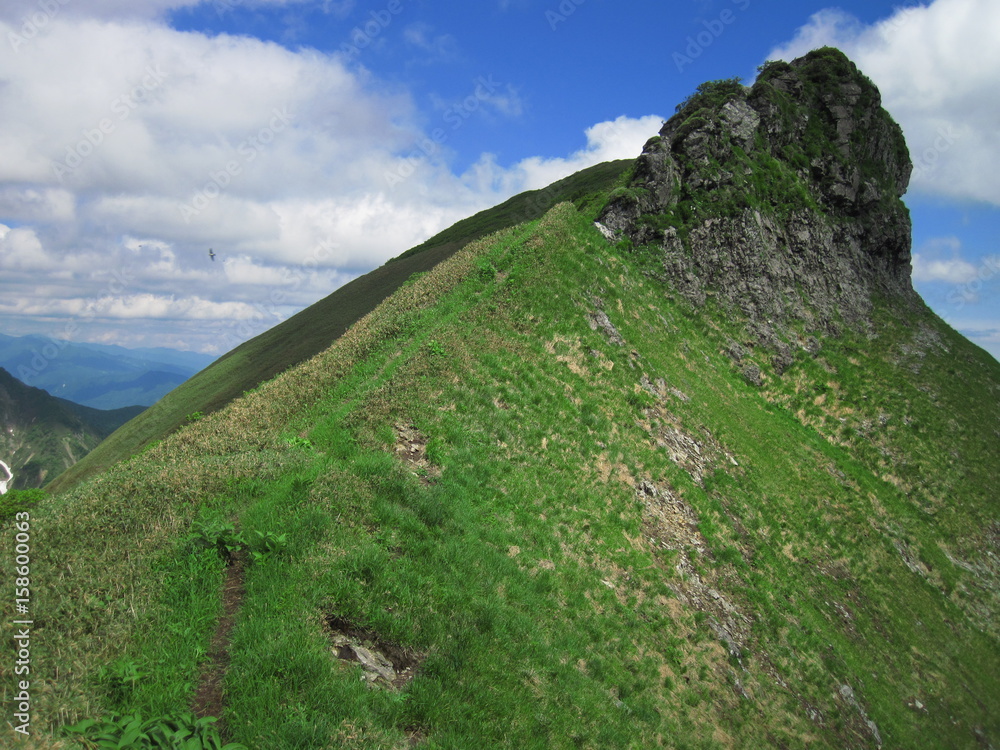初夏の山路 初夏の山路