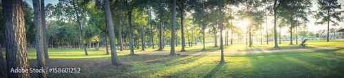 Photo Panorama view an urban park in Texas, America with green grass lawn, huge pine trees and walking/running trail during sunset