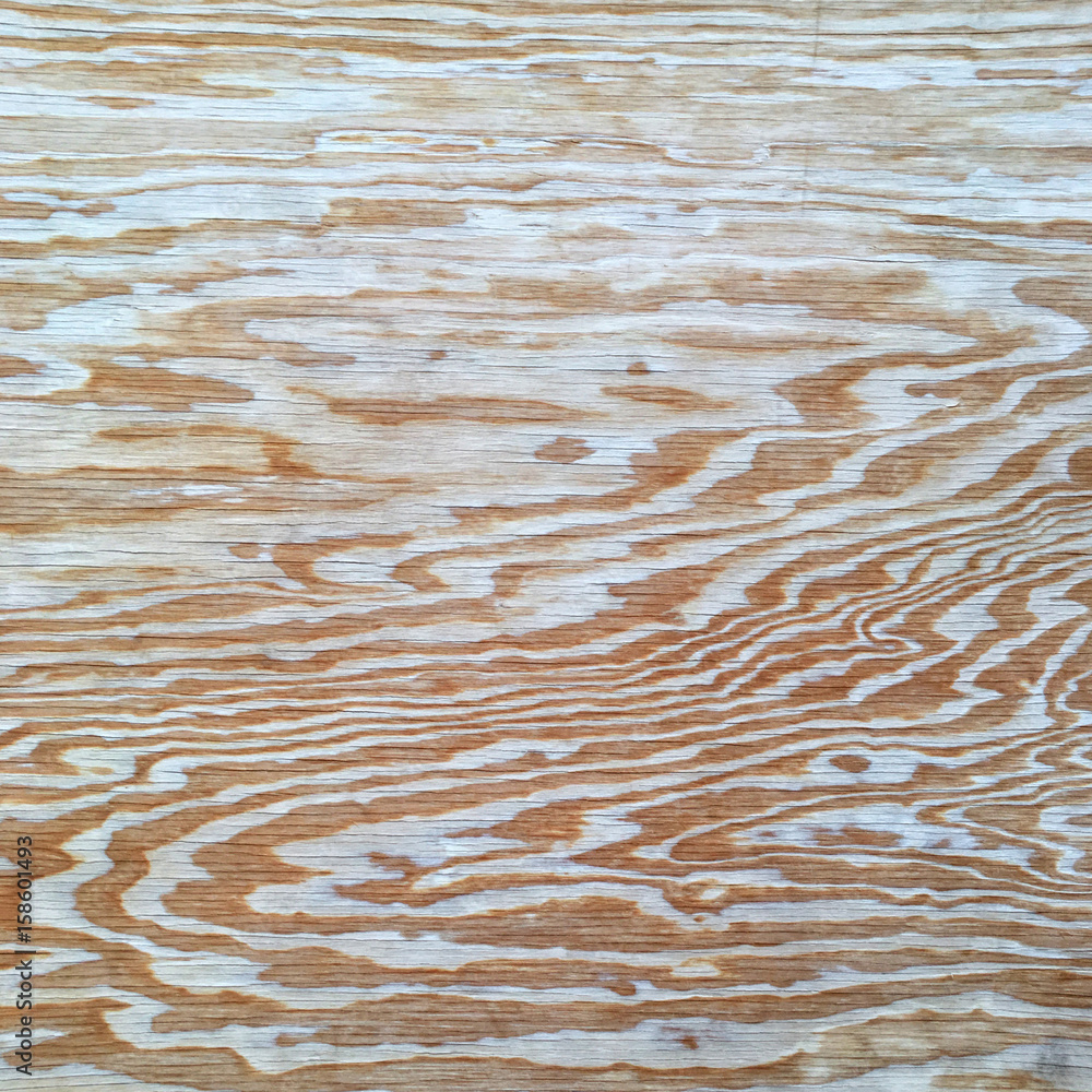 Obraz premium Natural wood pattern