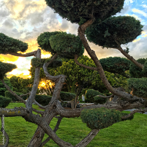 Park at NASA Ames Research Center photo