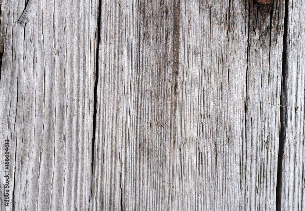 Cracked and worn board graying from weather. Cracked and worn board graying from weather.