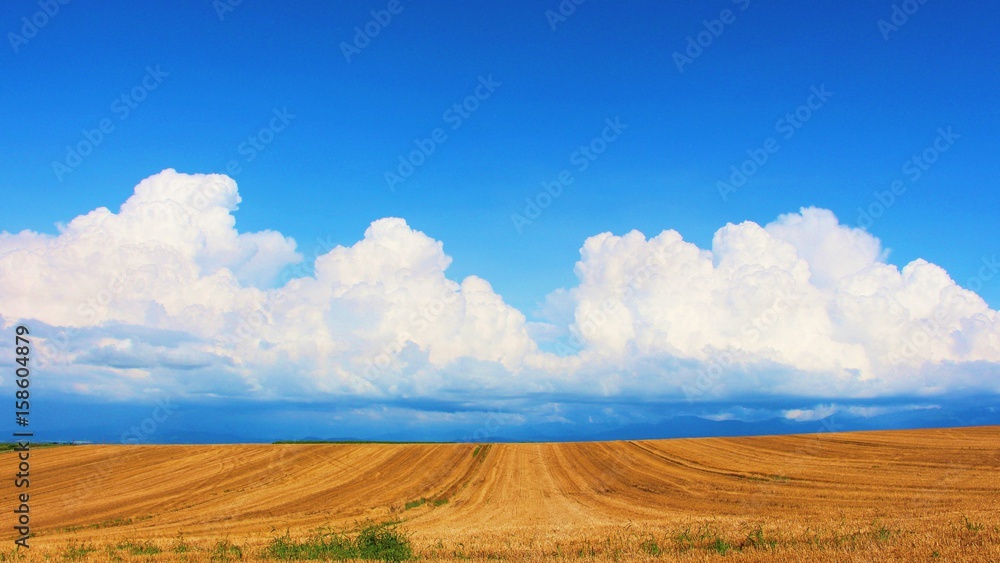 北海道 夏の空と牧草地 北海道 夏の空と牧草地