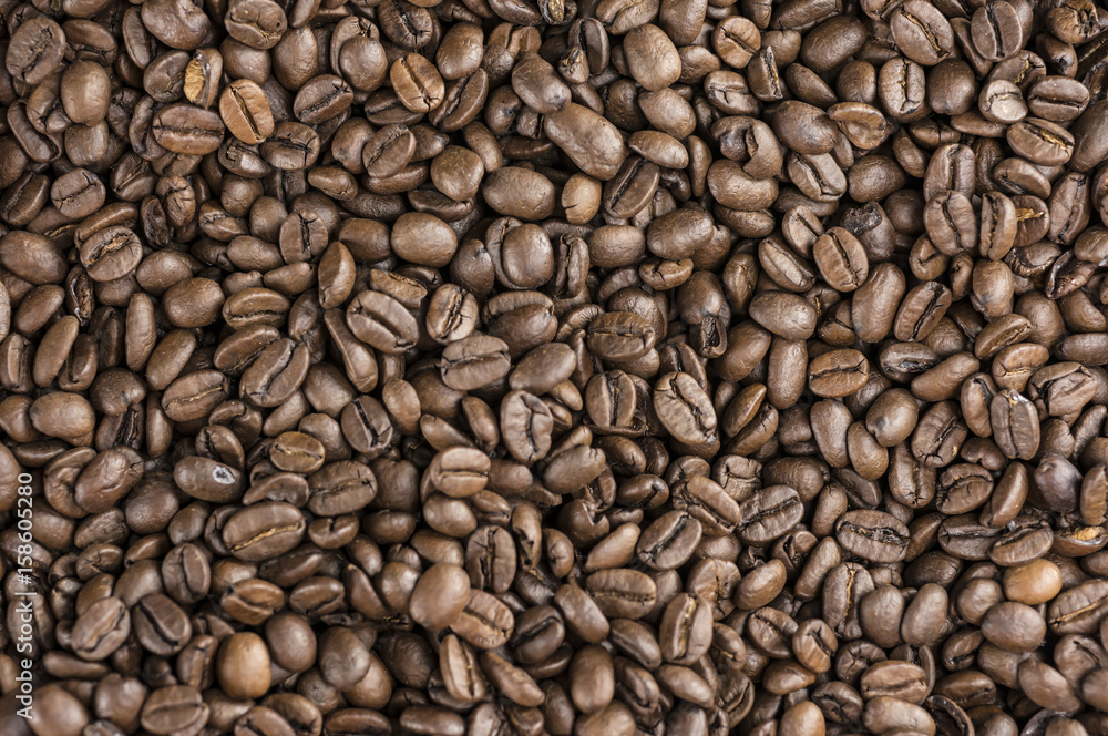 Coffee beans backround or texture close up Coffee beans backround or texture close up