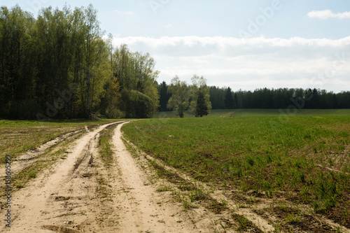 Dirty country road in Moscow Region, Russia