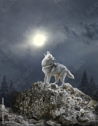 A blizzard and a wolf sing a song to the moon