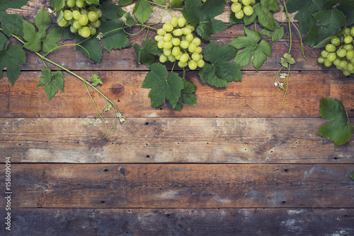 Fotografie Wine grapes background