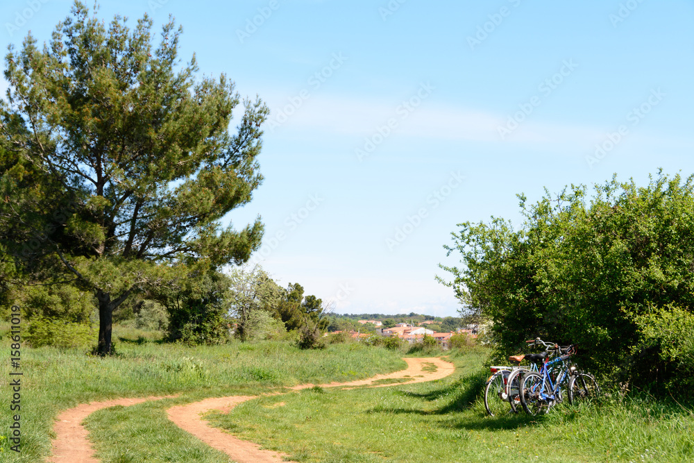  A cycling trail through a forest in Istria, Croatia