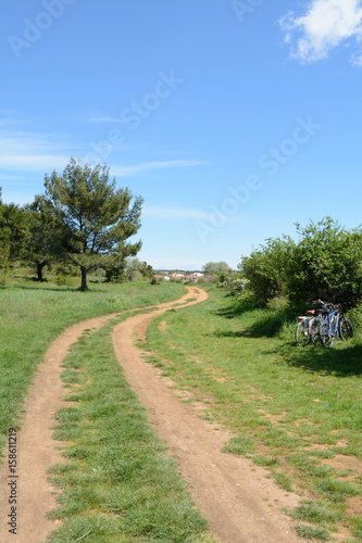  A cycling trail through a forest in Istria, Croatia photo