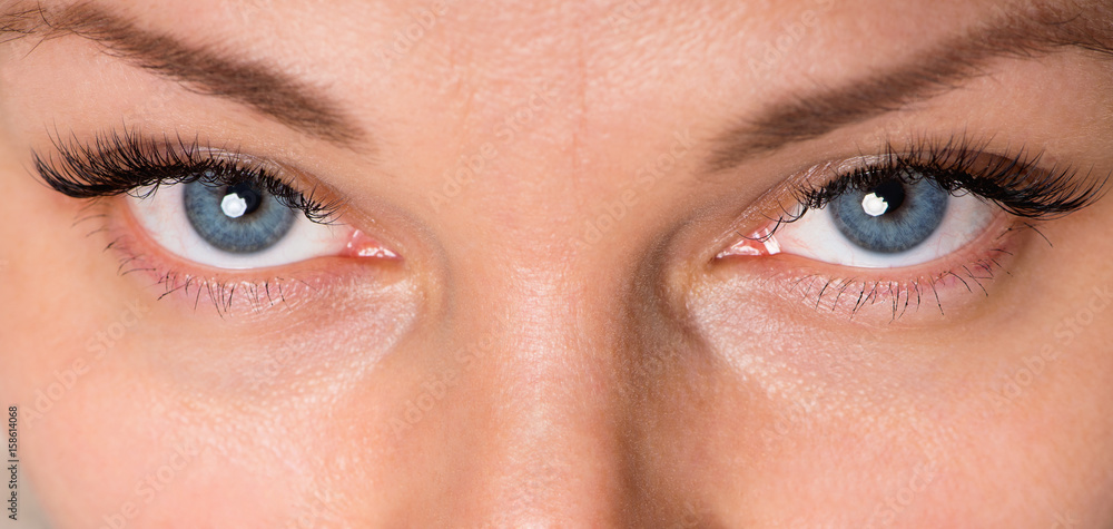 Fototapeta premium Close-up twarz pięknej młodej kobiety z pięknymi niebieskimi oczami i dużymi ładnymi rzęsami i brwiami. Makro oka ludzkiego - otwórz wyraziste spojrzenie w górę.