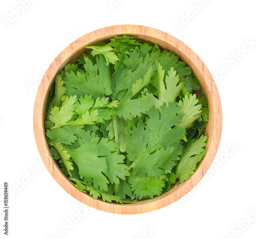 Top view of fresh coriander leaves in wooden bowl