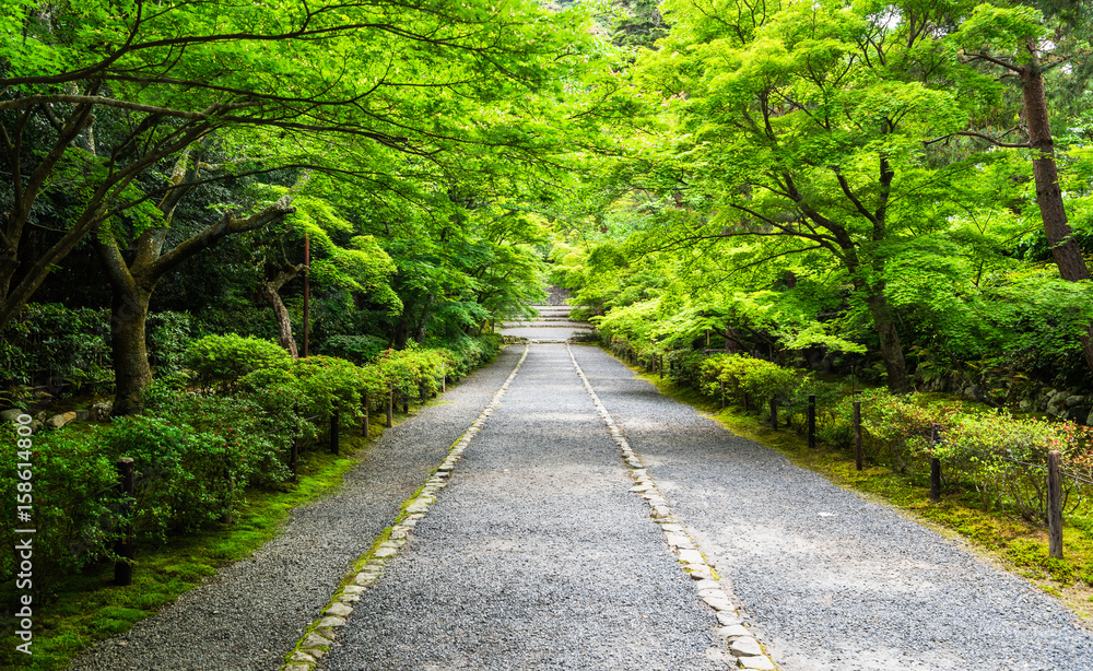 京都　嵯峨野　二尊院