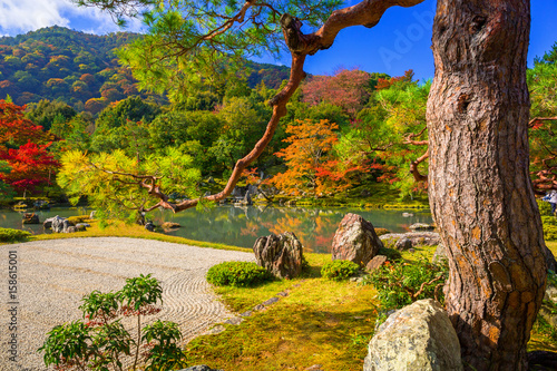 Autumnal forest at tenryu-ji temple in Arashiyama  Japan