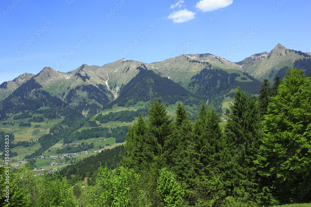 Panoramaweg Ludescher Berg