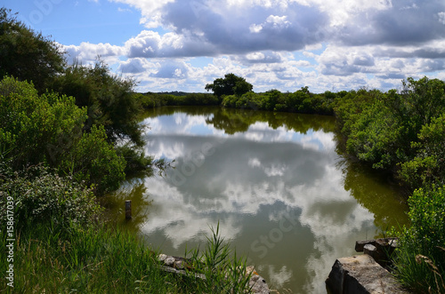 Le Teich Bassin d Arcachon miroir de nuages