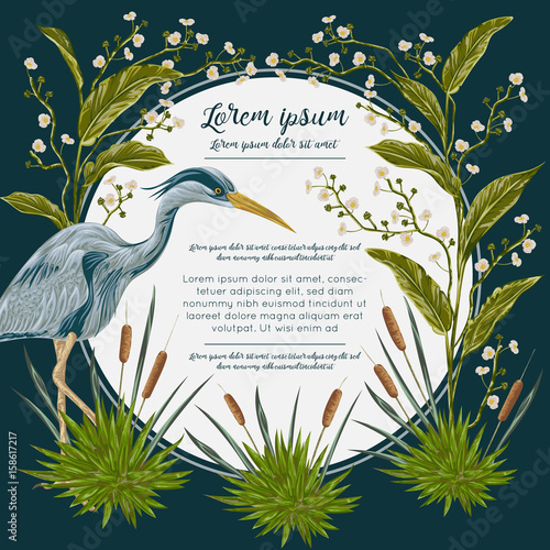 Heron bird and and swamp plants. Marsh flora and fauna. Design for banner, poster, card, invitation and scrapbook. Botanical vector illustration in watercolor style