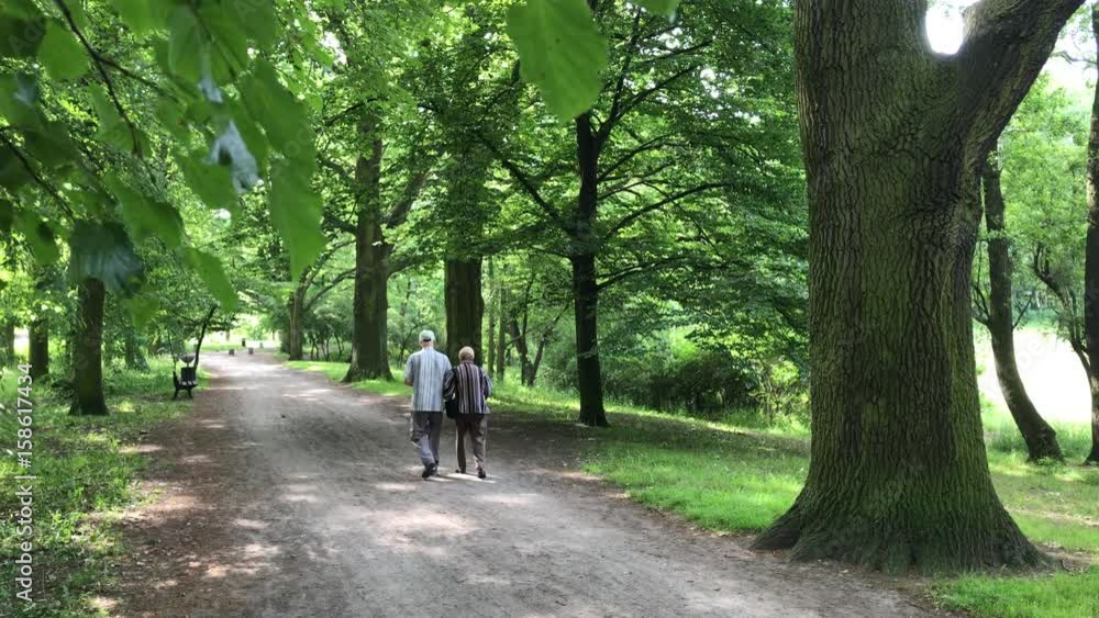 Senior couple enjoying walking in the summer Park Senior couple enjoying walking in the summer Park