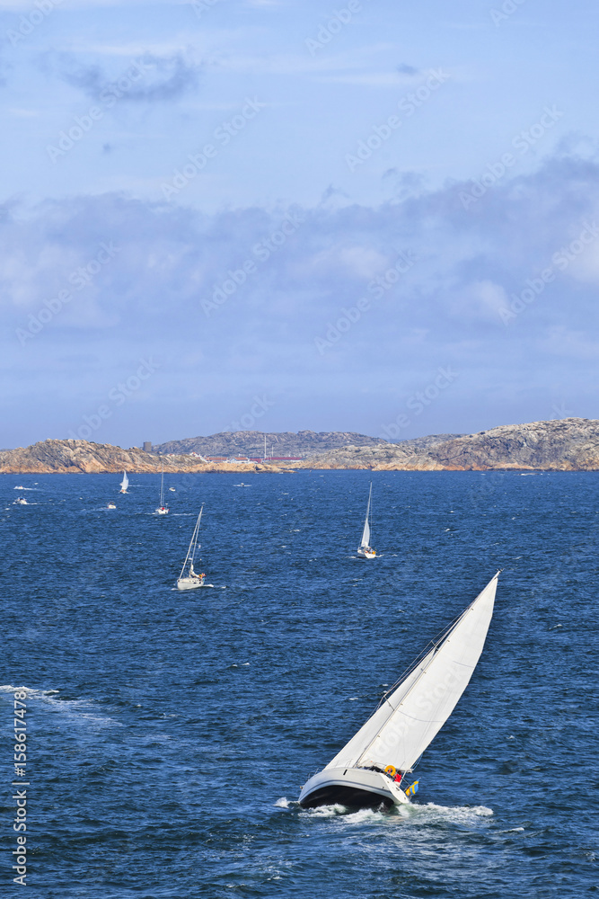 Obraz premium Sailboats on the windy sea