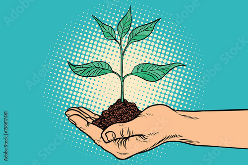 green sprout in hand