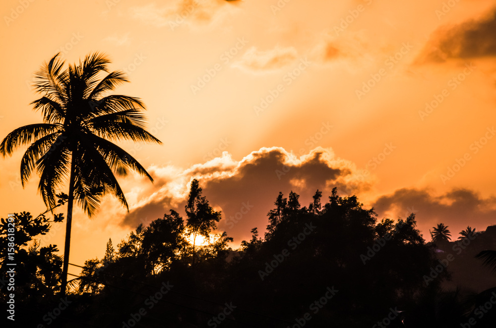 Caribbean sunset 