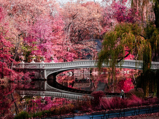 Canvas schilderij Central Park Uitzicht over Central Park  © MarieElise