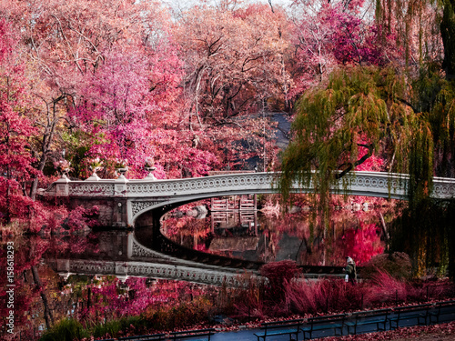 Slika na platnu Central Park
