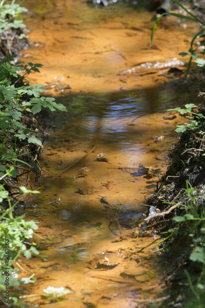 Eisenhaltiges Wasser in der Eifel