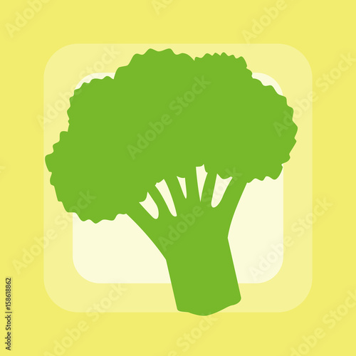 Broccoli silhouette on bright background.