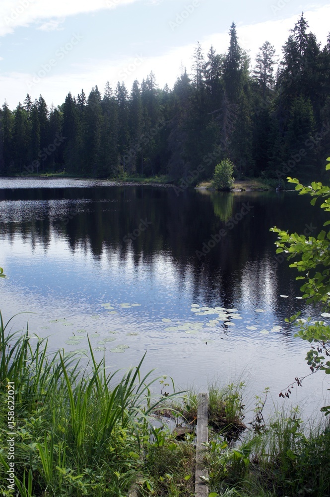 Russian nature Russian nature