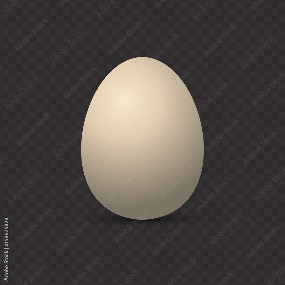 egg Vector illustration egg Vector illustration