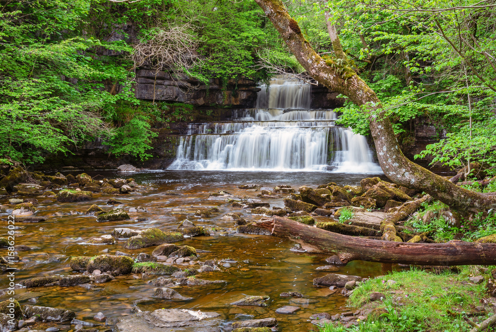 Fototapeta premium Cotter Force and Cotterdale Beck / Cotter Force is a small waterfall on Cotterdale Beck, a minor tributary of the River Ure, near the mouth of Cotterdale, a side dale in Wensleydale, North Yorkshire
